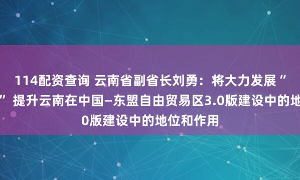 114配资查询 云南省副省长刘勇：将大力发展“口岸经济” 提升云南在中国—东盟自由贸易区3.0版建设中的地位和作用